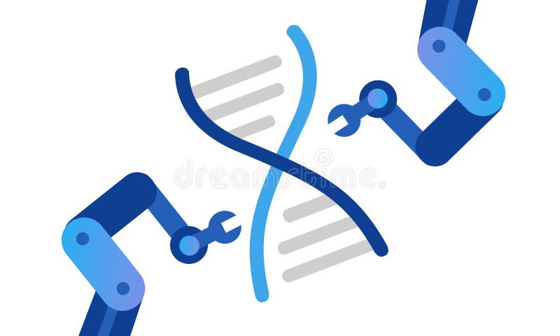Improving Gene Editing Precision: The Role Of CRISPR In Whole Gene Insertion Improving Gene Editing Precision: The Role Of CRISPR In Whole Gene Insertion