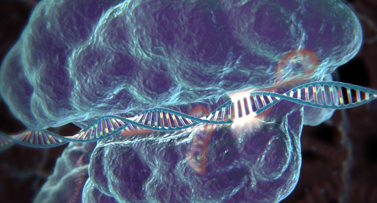 Improving Gene Editing: The Promise Of Enhanced CRISPR Accuracy Improving Gene Editing: The Promise Of Enhanced CRISPR Accuracy