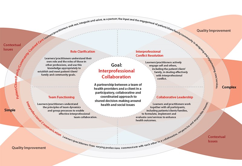 Improving Interprofessional Collaboration: Lessons From A Plastic Glove Project (RCN & Vet Nursing) Improving Interprofessional Collaboration: Lessons From A Plastic Glove Project (RCN & Vet Nursing)