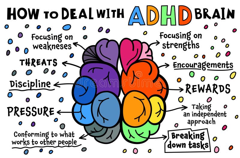 Inside Our ADHD Minds: Understanding The ADHD Brain Inside Our ADHD Minds: Understanding The ADHD Brain