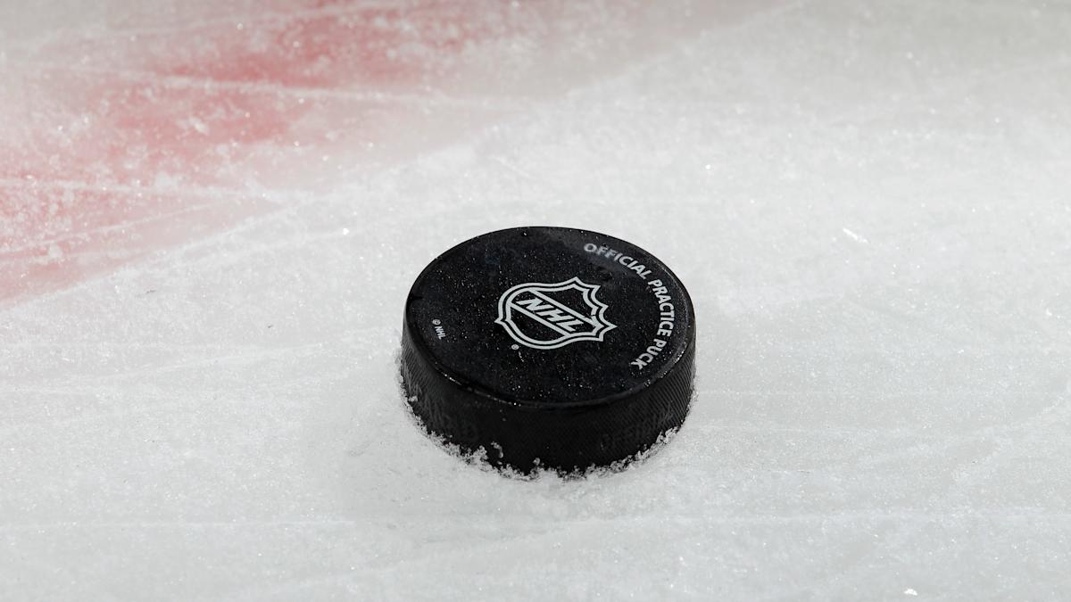 Investigation Into NHL Owner's Online Conduct Leads To Suspension Investigation Into NHL Owner's Online Conduct Leads To Suspension