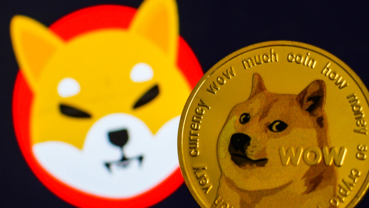 Investment Spotlight: What's Driving Dogecoin, Shiba Inu, And Sui's Growth? Investment Spotlight: What's Driving Dogecoin, Shiba Inu, And Sui's Growth?