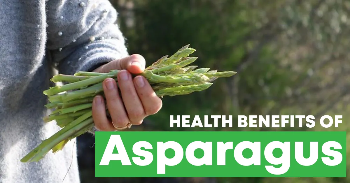 Is Asparagus Good For You? A Comprehensive Guide To Its Health Benefits Is Asparagus Good For You? A Comprehensive Guide To Its Health Benefits