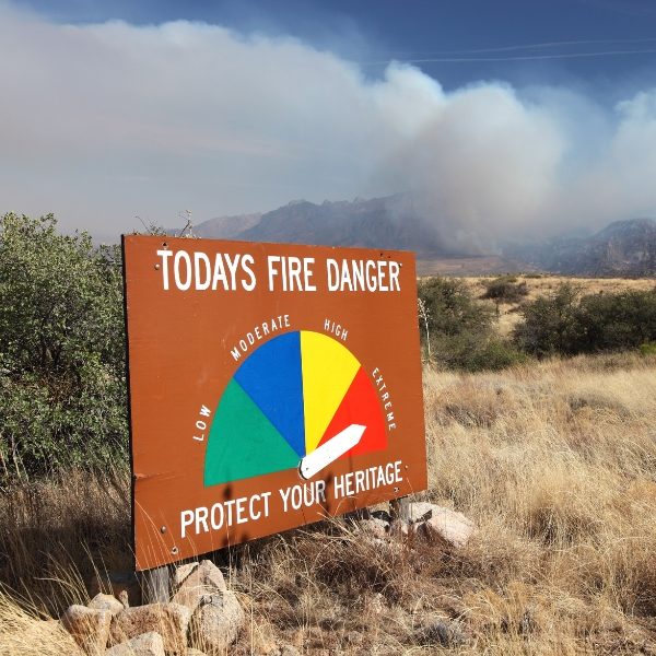 Is Betting On Wildfires A Sign Of The Times? Exploring The Dark Side Of Disaster Is Betting On Wildfires A Sign Of The Times? Exploring The Dark Side Of Disaster