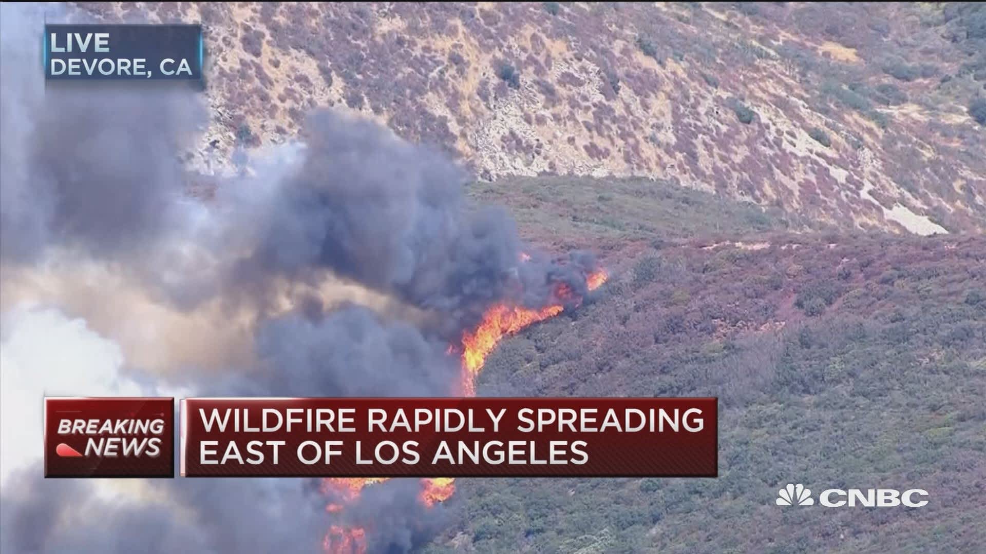 Is It Possible To Bet On The Los Angeles Wildfires? Exploring The Dark Side Of Disaster Is It Possible To Bet On The Los Angeles Wildfires? Exploring The Dark Side Of Disaster