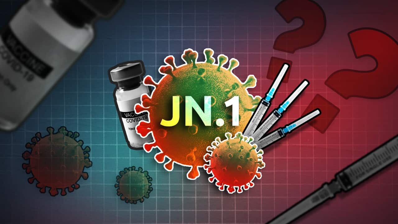JN.1 Variant Surge: A Moderate Increase In COVID-19 Cases Reported Across India JN.1 Variant Surge: A Moderate Increase In COVID-19 Cases Reported Across India