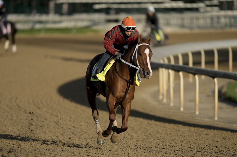Jockey's $62,000 Fine And Suspension After Kentucky Derby Whip Violation Jockey's $62,000 Fine And Suspension After Kentucky Derby Whip Violation