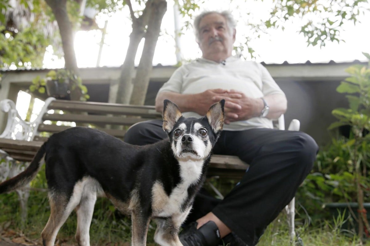 José Mujica: A Legacy Remembered – Former President Of Uruguay Passes Away José Mujica: A Legacy Remembered – Former President Of Uruguay Passes Away