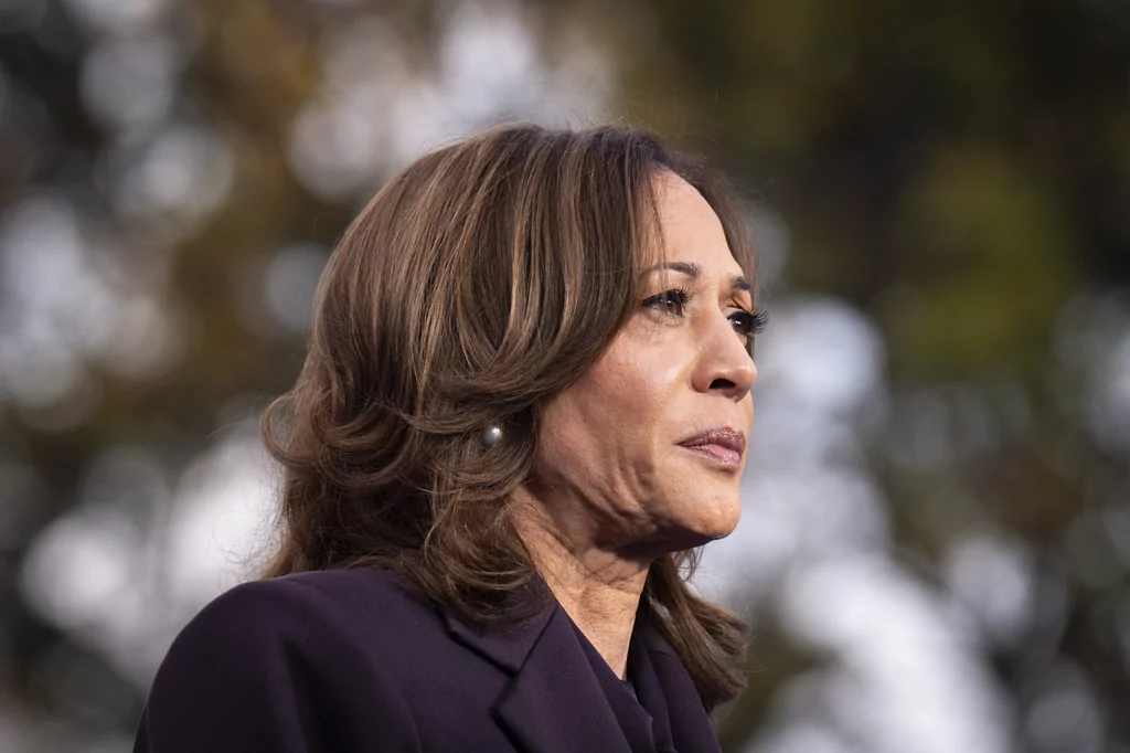 Kamala Harris On A Political Comeback: Timing And Potential Roles Kamala Harris On A Political Comeback: Timing And Potential Roles