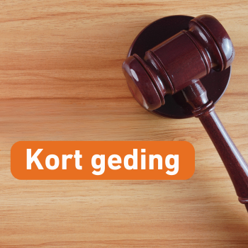 Kampen Start Kort Geding Tegen Enexis: Aansluiting Stroomnet Geweigerd?