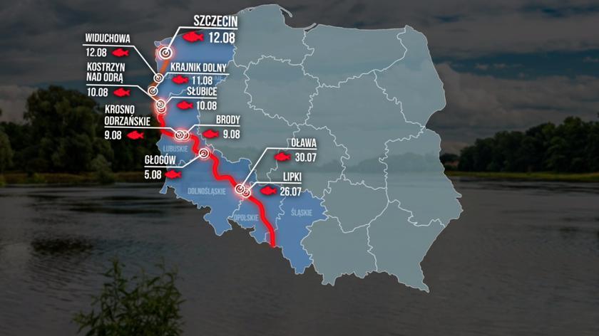 Katastrofa Ekologiczna Na Odrze: Analiza Ryzyka I Zapobieganie Katastrofa Ekologiczna Na Odrze: Analiza Ryzyka I Zapobieganie