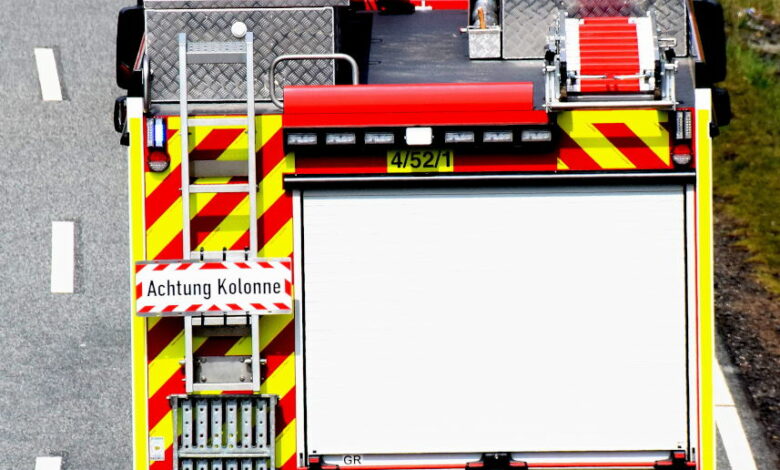 Katastrophenfall Am Bodensee: Großübung Der Einsatzkräfte In Hard