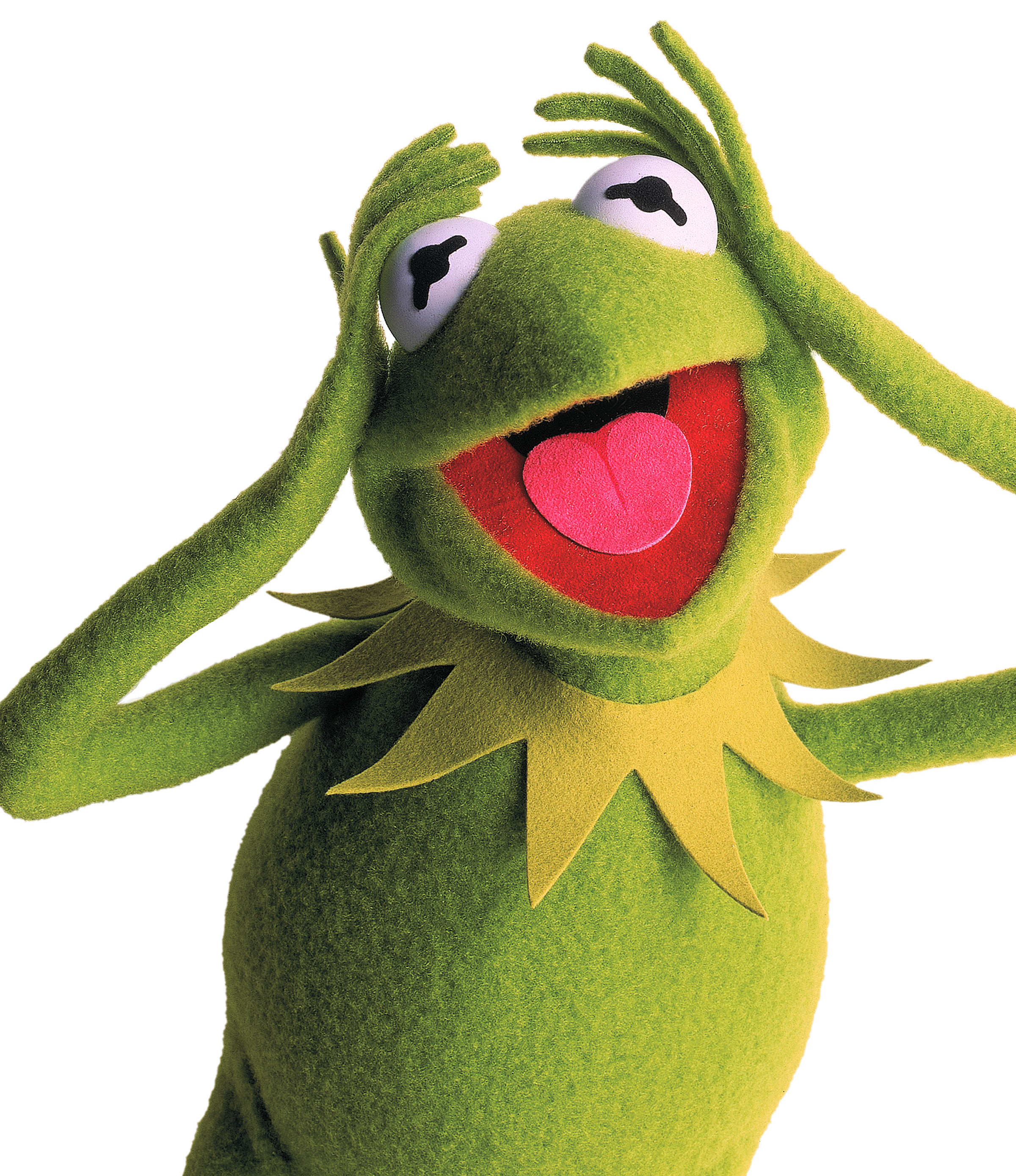 Kermit The Frog: University Of Maryland's 2025 Graduation Speaker Kermit The Frog: University Of Maryland's 2025 Graduation Speaker