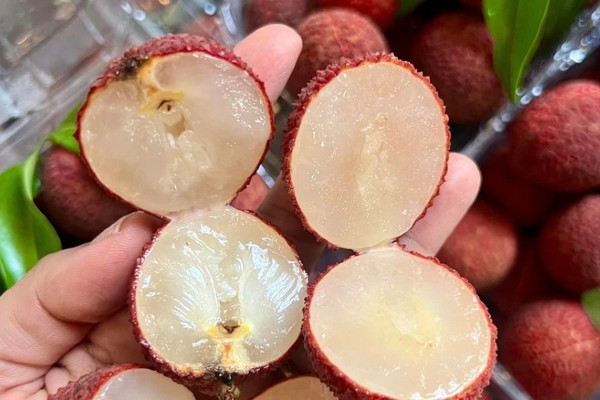 Khám Phá Loại Quả Xưa Giờ Đã Thành Đặc Sản Cao Cấp Khám Phá Loại Quả Xưa Giờ Đã Thành Đặc Sản Cao Cấp