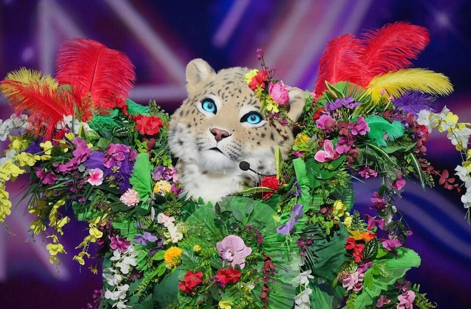 L'Autruche De Mask Singer 2025 : Indices, Théories Et Pronostics L'Autruche De Mask Singer 2025 : Indices, Théories Et Pronostics