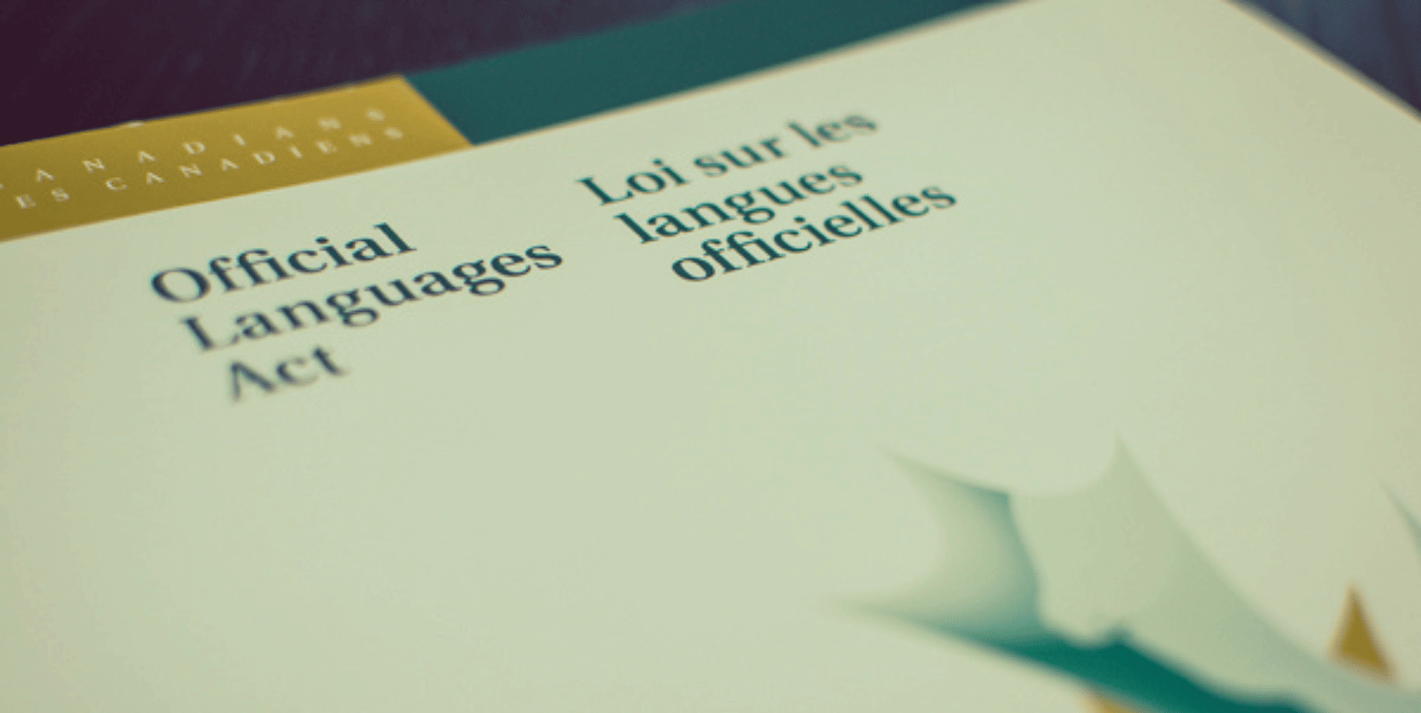 La Nouvelle Loi Sur Les Partis Algériens : Réactions Du PT, FFS, RCD Et Jil Jadid La Nouvelle Loi Sur Les Partis Algériens : Réactions Du PT, FFS, RCD Et Jil Jadid