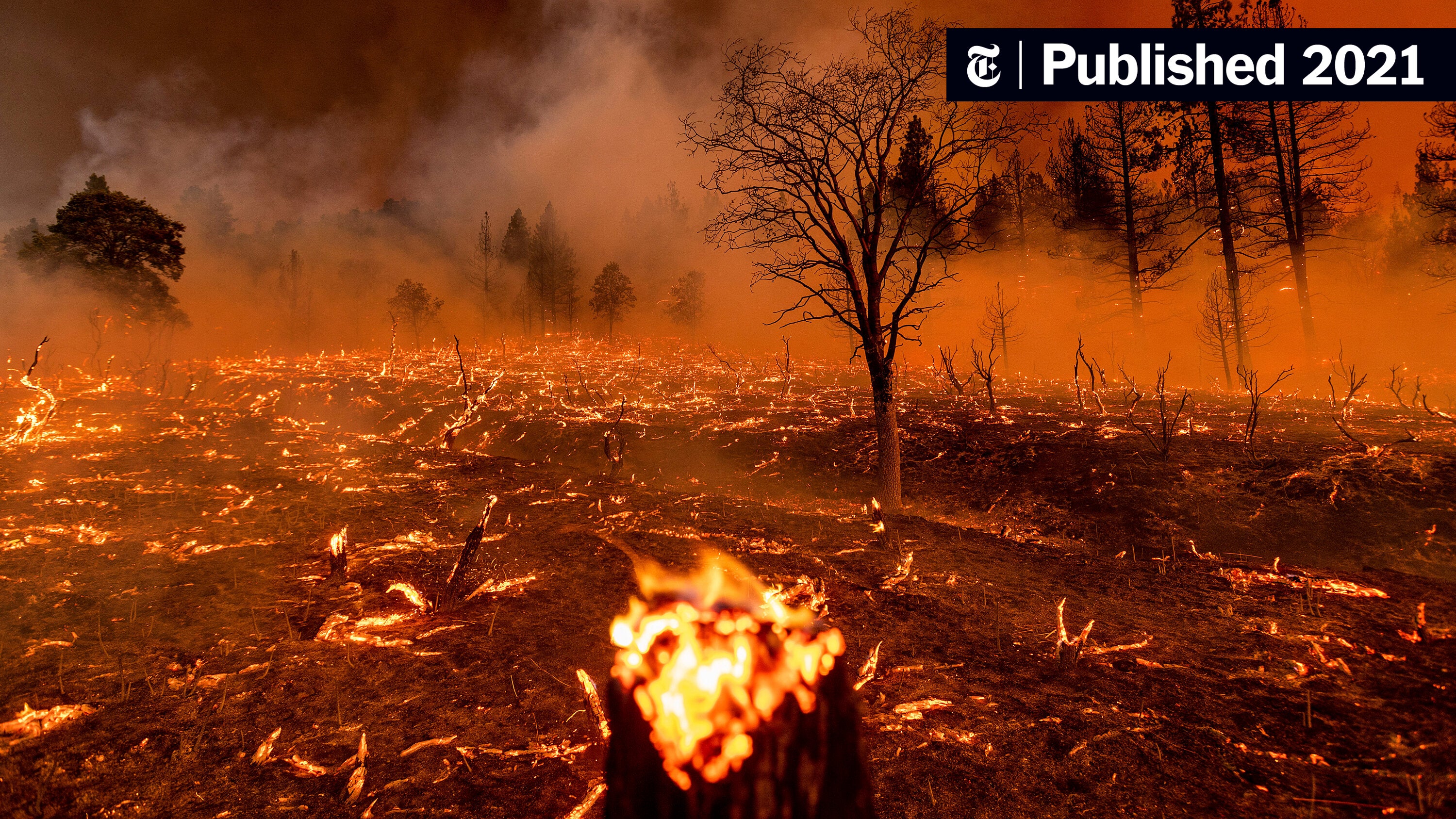 LA Palisades Wildfires: Which Celebrities Lost Their Homes? LA Palisades Wildfires: Which Celebrities Lost Their Homes?