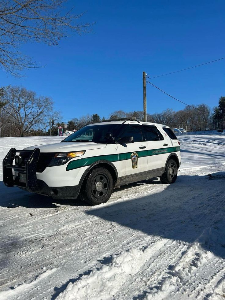 Lancaster County Park: Report Of Two Loose Cows Lancaster County Park: Report Of Two Loose Cows