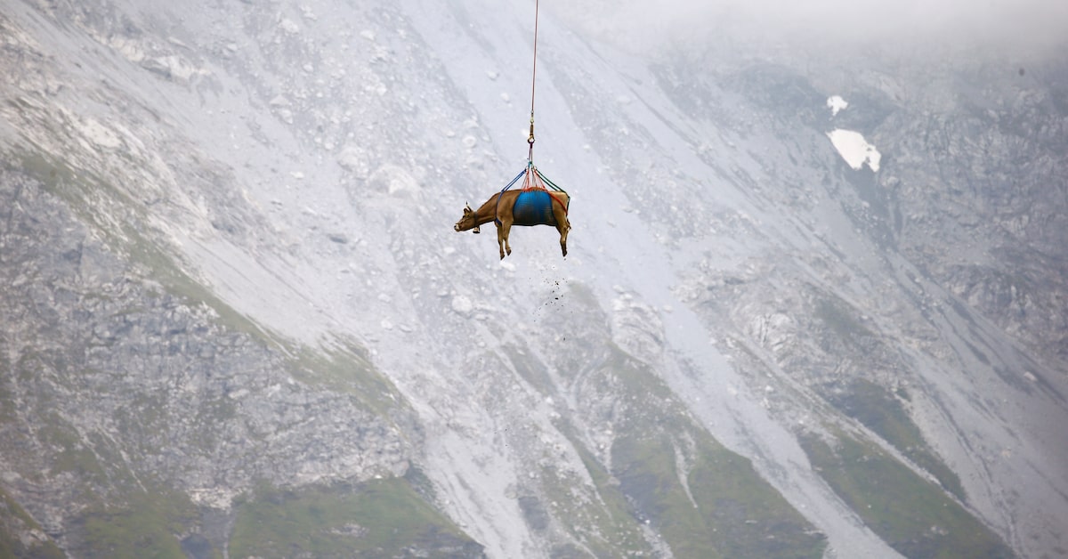 Landslide Risk Forces Urgent Livestock Evacuation In Swiss Alpine Village Landslide Risk Forces Urgent Livestock Evacuation In Swiss Alpine Village