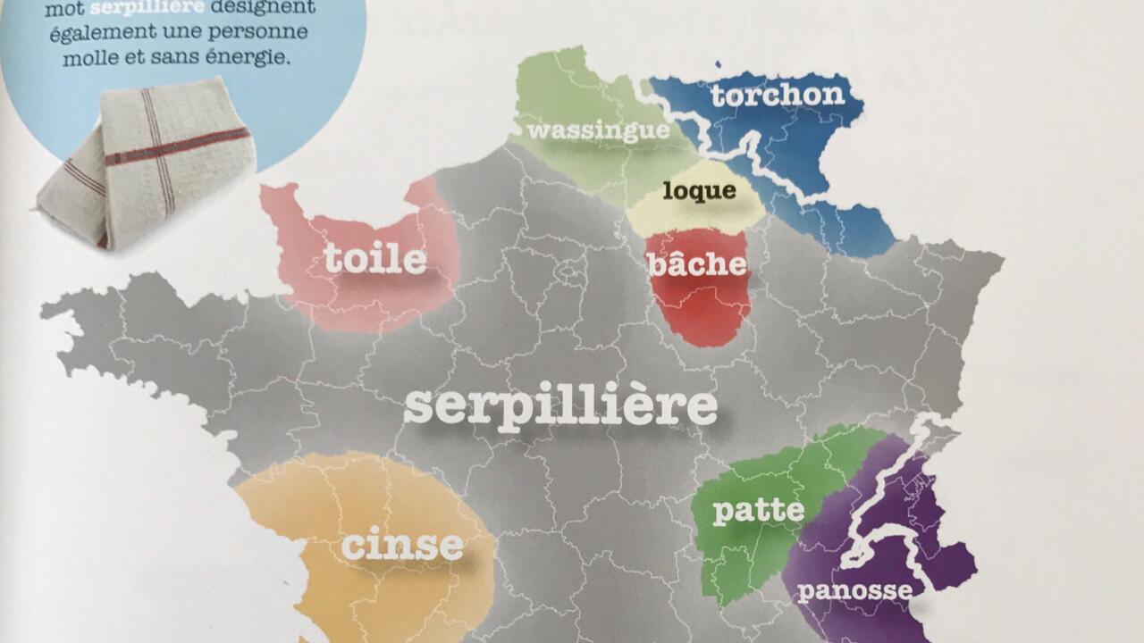 Le Français Selon Mathieu Avanzi : Dépasser Les Clichés De La Langue Classique Le Français Selon Mathieu Avanzi : Dépasser Les Clichés De La Langue Classique