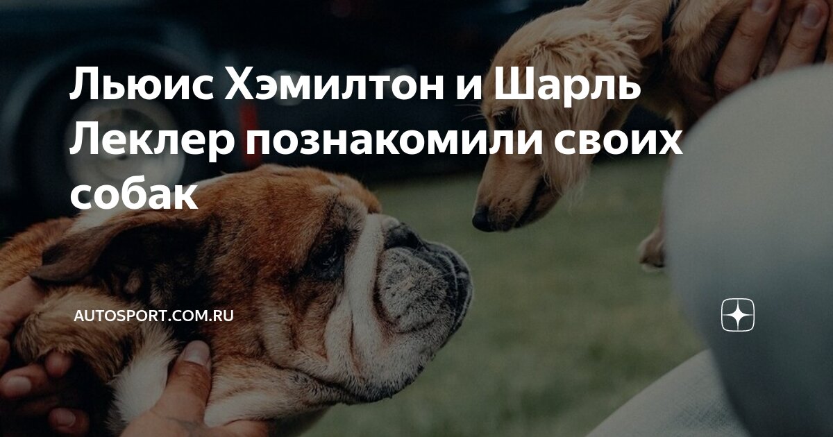 Леклер И Хэмилтон: Последствия Дисквалификации Для Ferrari Леклер И Хэмилтон: Последствия Дисквалификации Для Ferrari