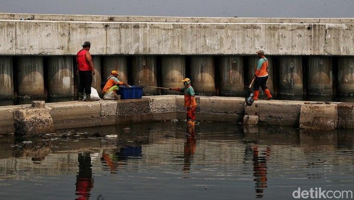Lindungi Warga Pesisir: DPR Dorong Pembangunan Giant Sea Wall Untuk Cegah Abrasi Lindungi Warga Pesisir: DPR Dorong Pembangunan Giant Sea Wall Untuk Cegah Abrasi