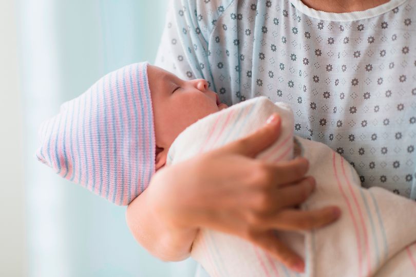 Live Womb Transplants: A Children's Hospital Community Activist's Perspective On Transgender Pregnancy Live Womb Transplants: A Children's Hospital Community Activist's Perspective On Transgender Pregnancy