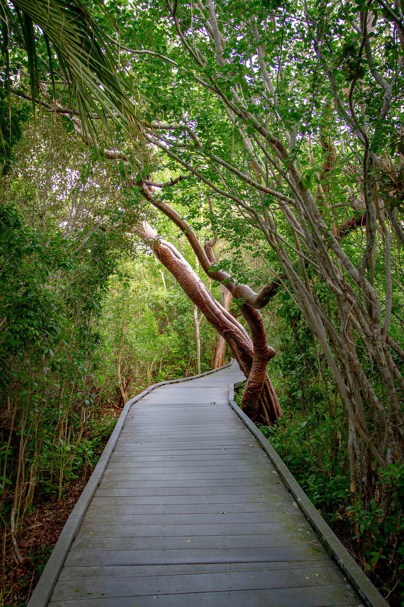 Local Job Candidate Approved By CEPD On Sanibel And Captiva Islands Local Job Candidate Approved By CEPD On Sanibel And Captiva Islands