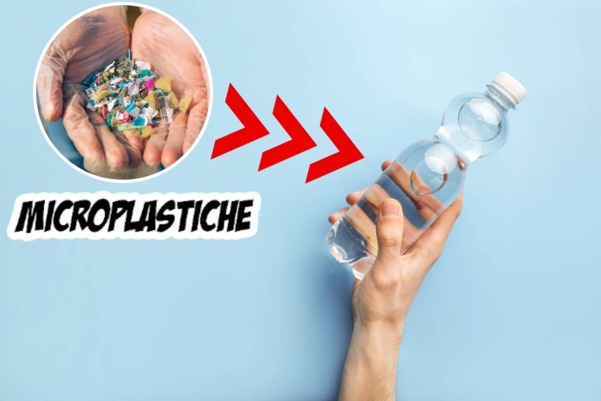 Localizzazione Delle Microplastiche Nelle Diverse Tipologie Di Acqua Localizzazione Delle Microplastiche Nelle Diverse Tipologie Di Acqua