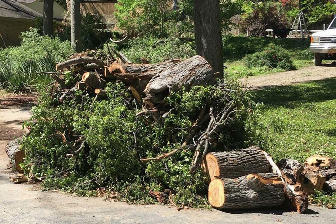 Louisville Storm Debris Pickup: Submit Your Request Now Louisville Storm Debris Pickup: Submit Your Request Now