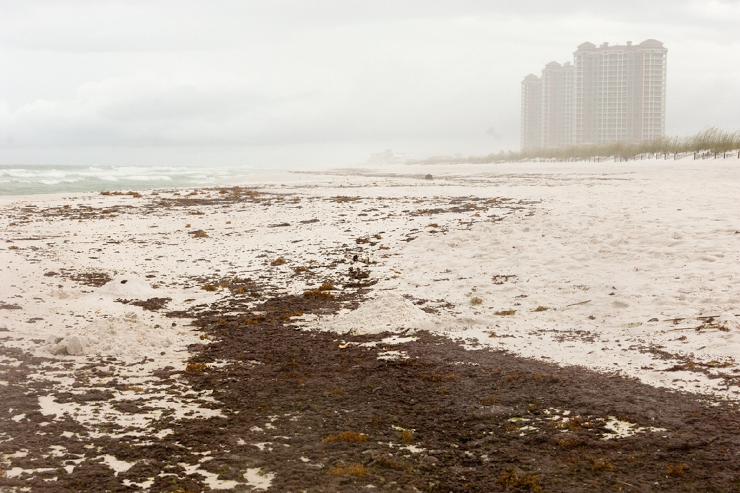 Major Oil Spill Prompts Closure Of 62 Miles Of Black Sea Beaches In Russia