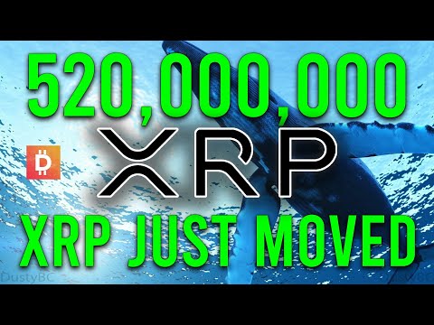 Major XRP Whale Transaction: What Does It Mean For XRP Investors? Major XRP Whale Transaction: What Does It Mean For XRP Investors?