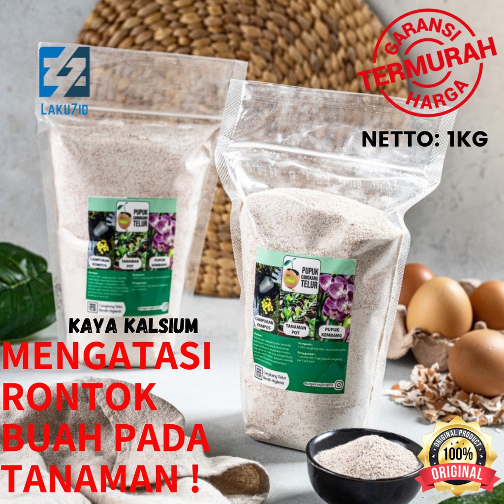 Manfaatkan Limbah Rumah Tangga: Cangkang Telur Untuk Pupuk Alami Manfaatkan Limbah Rumah Tangga: Cangkang Telur Untuk Pupuk Alami