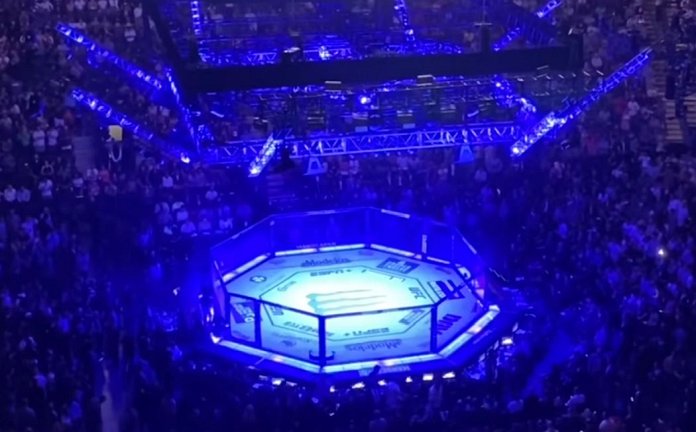 Manon Fiorot's Undefeated Streak: From Bellator Loss To UFC Contender Manon Fiorot's Undefeated Streak: From Bellator Loss To UFC Contender