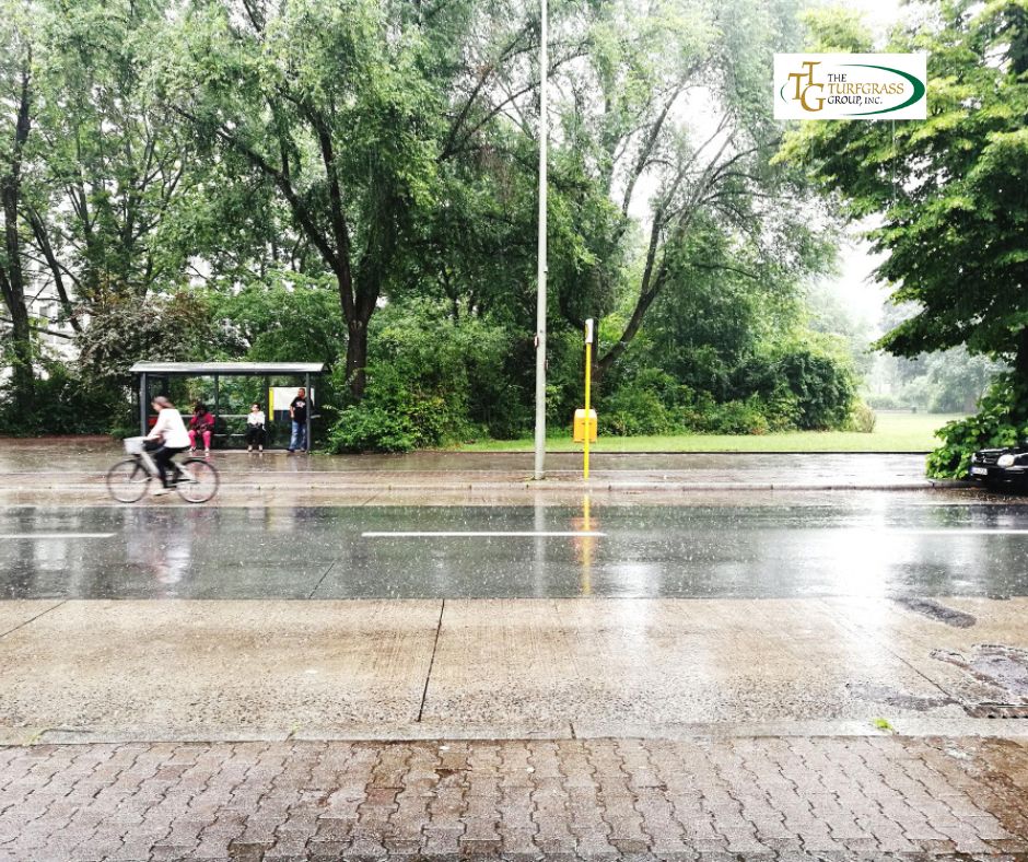 March Rainfall Fails To Fully Relieve Water Deficit March Rainfall Fails To Fully Relieve Water Deficit
