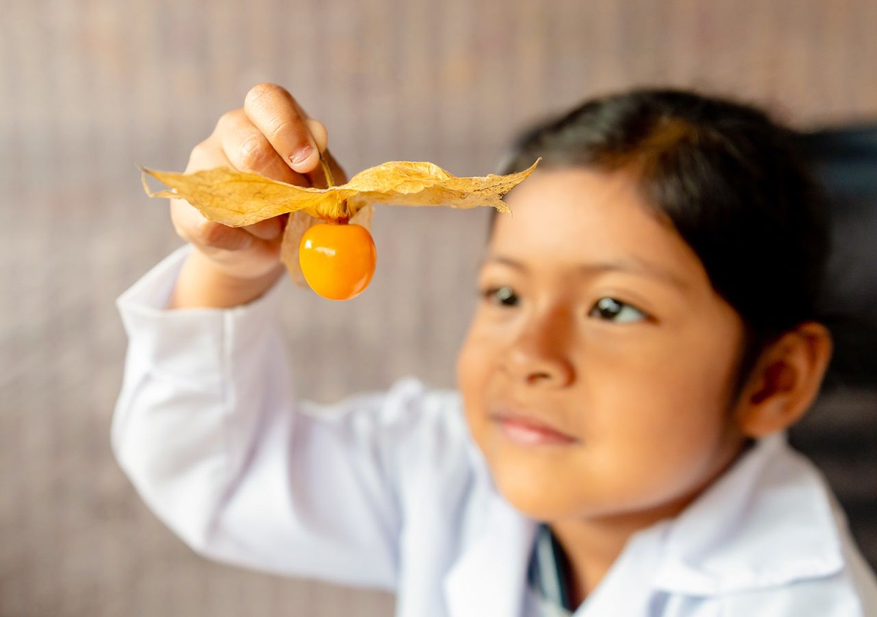 Más Que Arándanos: El Superalimento Que Previene Enfermedades Crónicas Más Que Arándanos: El Superalimento Que Previene Enfermedades Crónicas