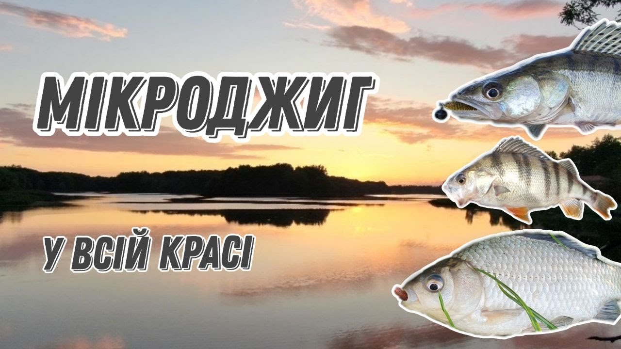 Наомі Кемпбелл: 55 Років – Фото Зірки У Всій Красі Наомі Кемпбелл: 55 Років – Фото Зірки У Всій Красі