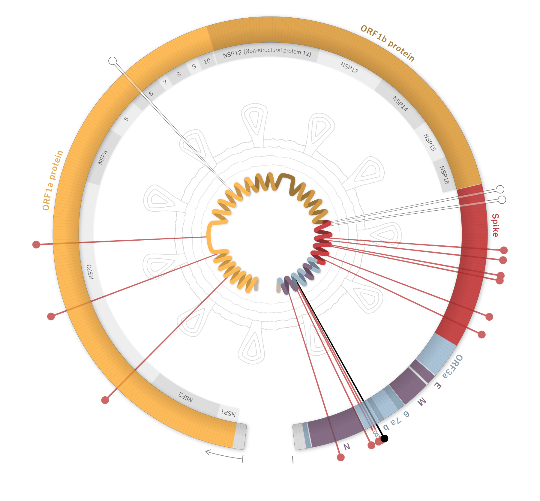 New COVID-19 Variant: Driving Force Behind Rising Case Numbers?