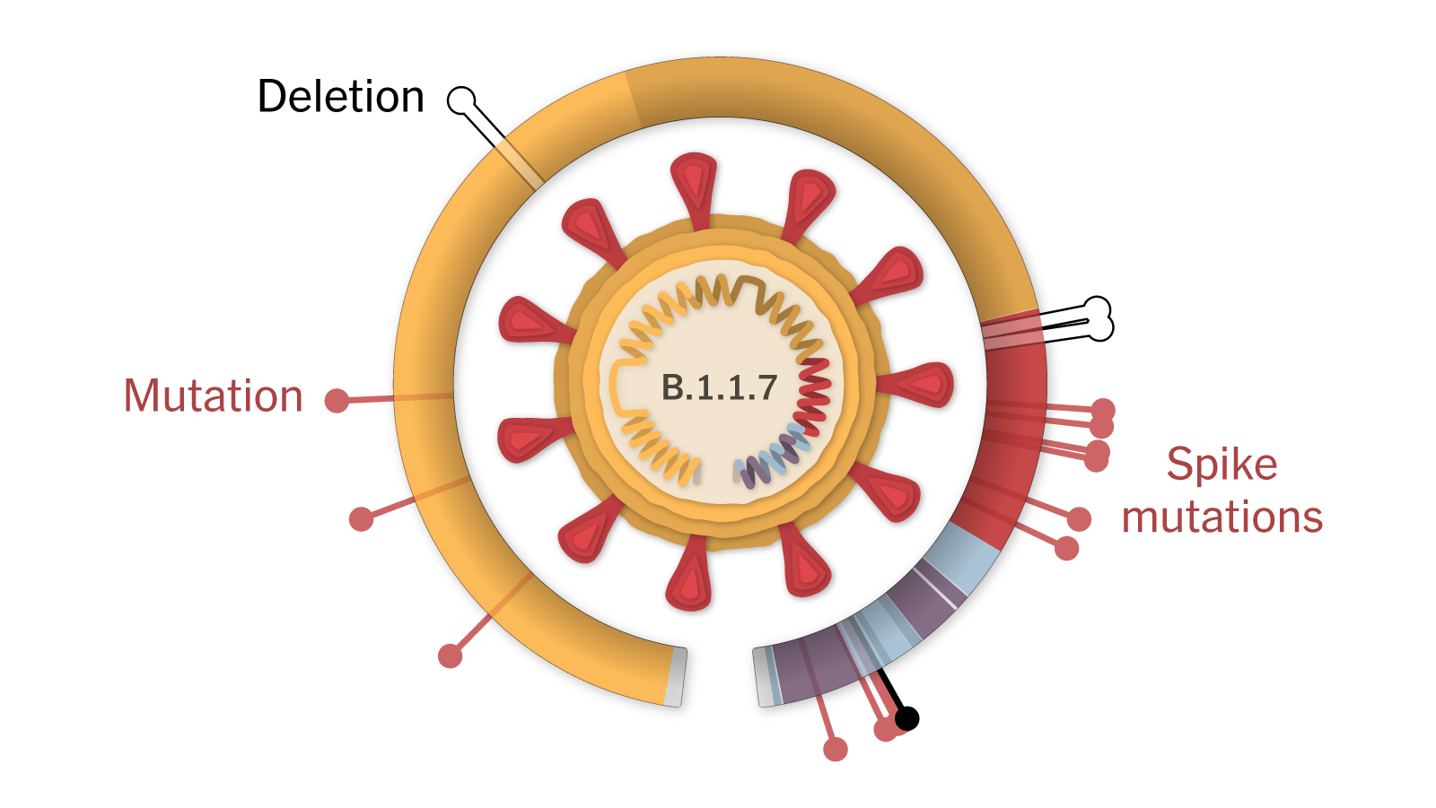 New COVID-19 Variant Emerges: What You Need To Know About The Rising Case Numbers New COVID-19 Variant Emerges: What You Need To Know About The Rising Case Numbers