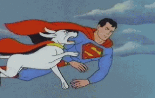 New Sneak Peek: Krypto Hurts Superman In Upcoming Film New Sneak Peek: Krypto Hurts Superman In Upcoming Film