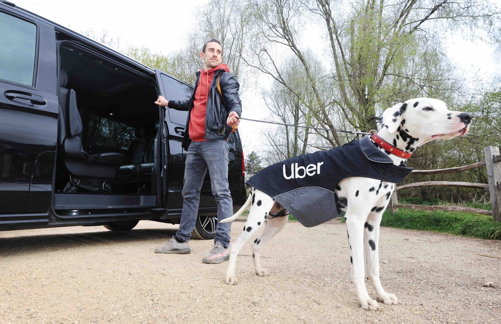 New Uber Pet Service: Easier Pet Transportation In Delhi And Mumbai New Uber Pet Service: Easier Pet Transportation In Delhi And Mumbai