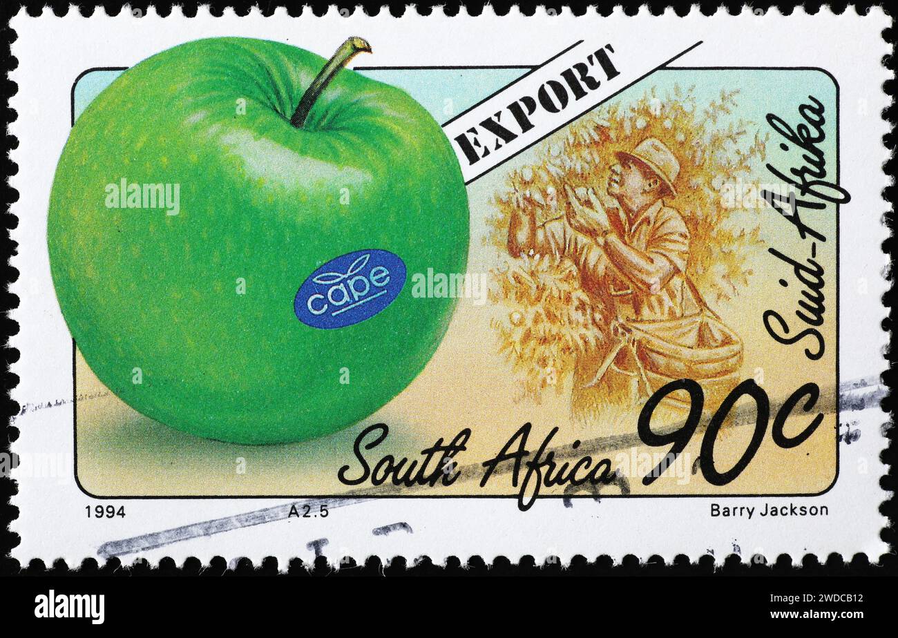 New Zealand's Apple Export Crown Taken By South Africa New Zealand's Apple Export Crown Taken By South Africa