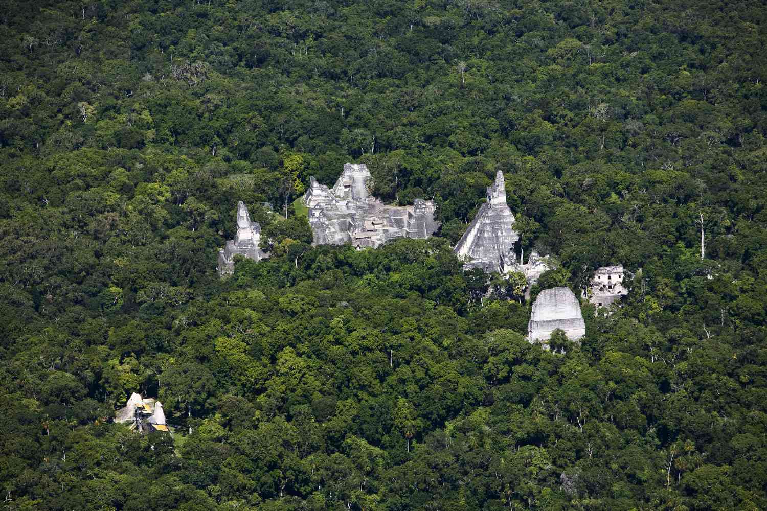 Newly Discovered Mayan City: 3,000-Year-Old Pyramids And Canal System