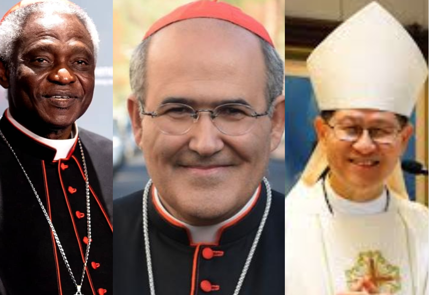 Nine Potential Successors To Pope Francis: Examining The Leading Contenders Nine Potential Successors To Pope Francis: Examining The Leading Contenders