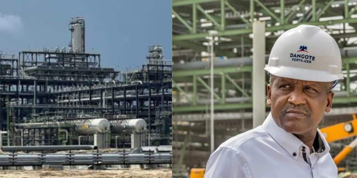 NNPC And Dangote: Analyzing The Dynamics Of Petrol Pricing In Nigeria NNPC And Dangote: Analyzing The Dynamics Of Petrol Pricing In Nigeria