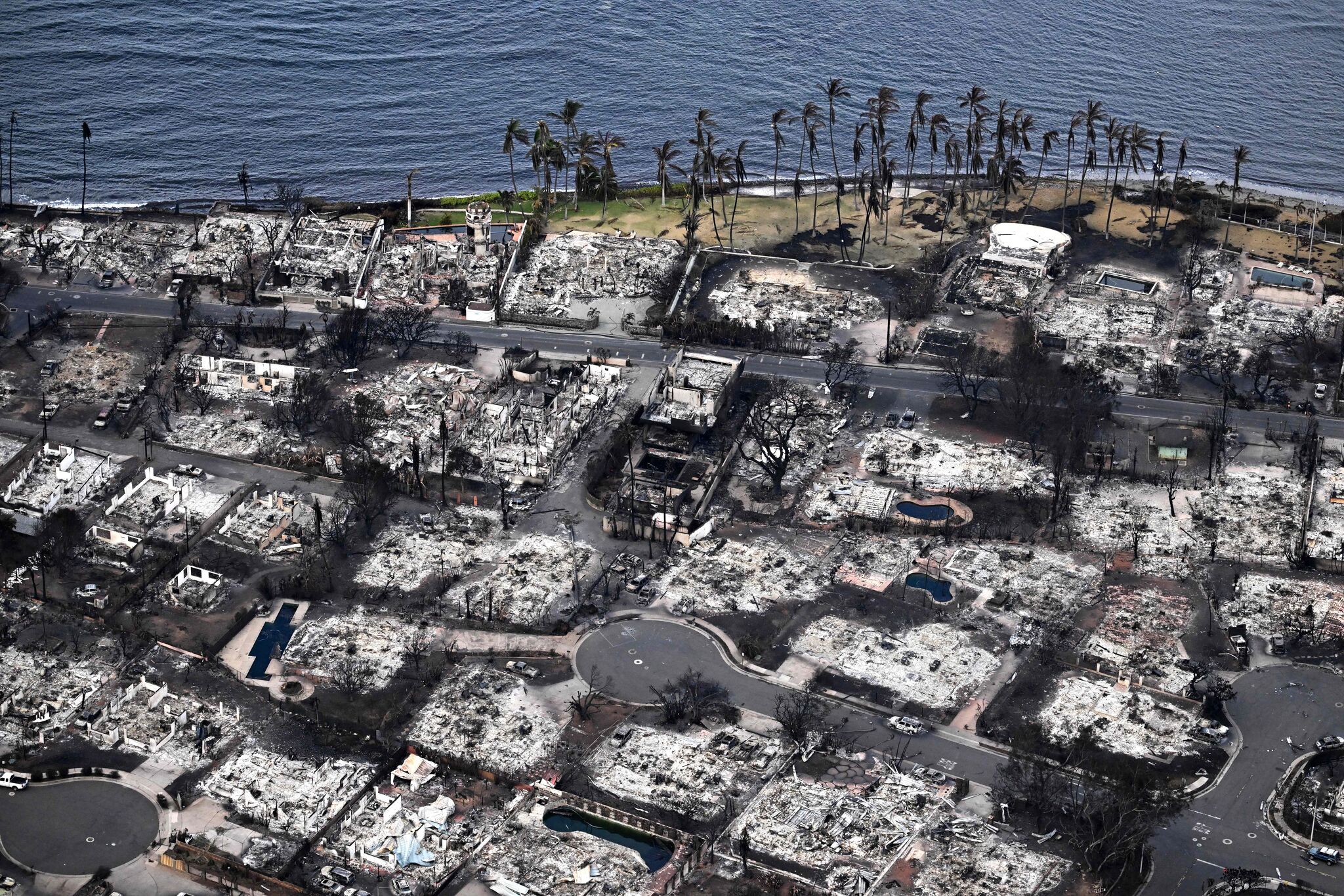 Palisades Fire Aftermath: Celebrities' Home Losses Revealed Palisades Fire Aftermath: Celebrities' Home Losses Revealed