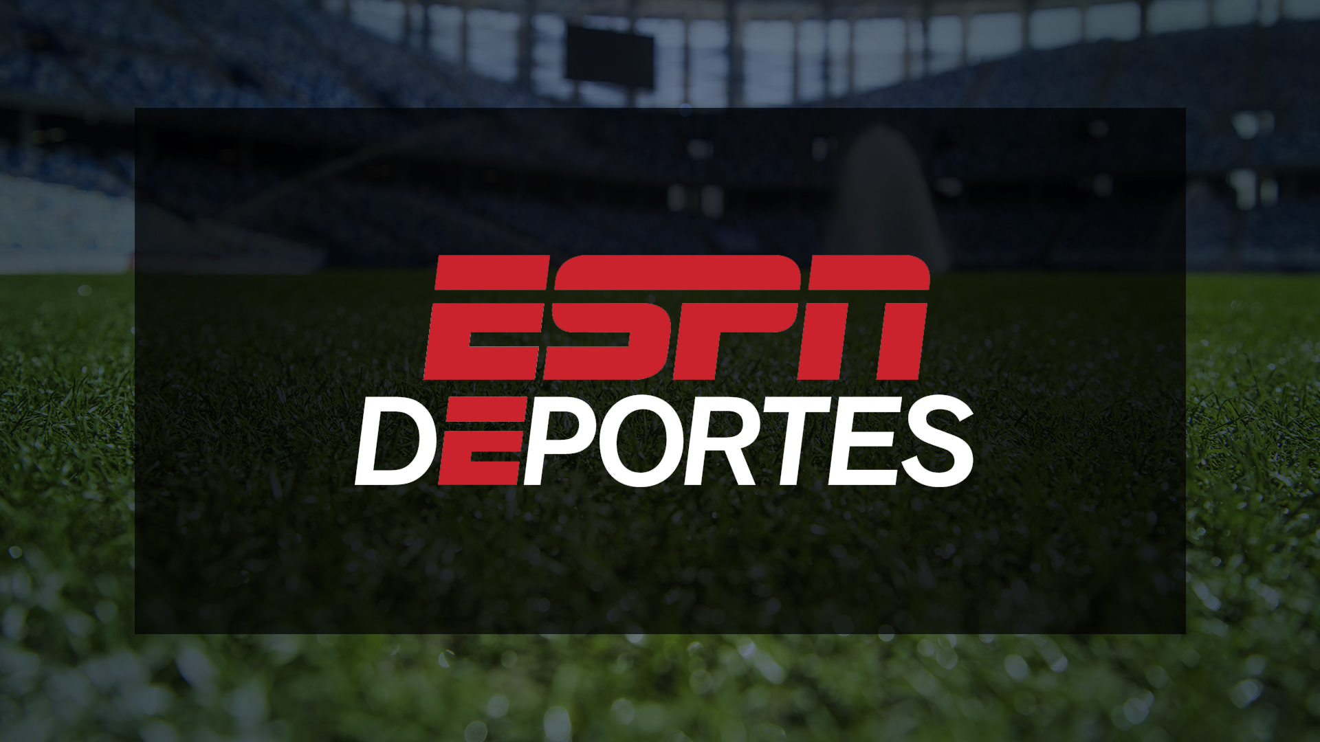 Partido Venezia - Nápoles: En Vivo Online Partido Venezia - Nápoles: En Vivo Online