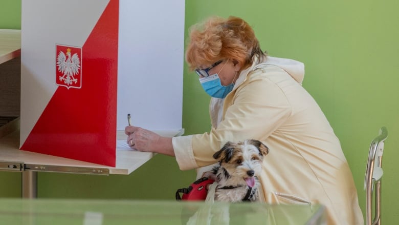 Poland Election Runoff: Key Indicator Of MAGA Populism's European Influence Poland Election Runoff: Key Indicator Of MAGA Populism's European Influence
