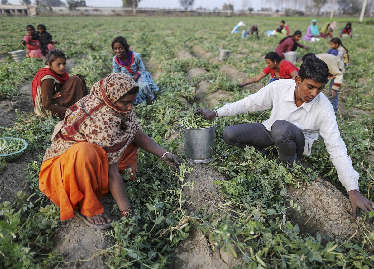 Positive Monsoon Forecast To Boost India's Agricultural Growth And Consumer Spending Positive Monsoon Forecast To Boost India's Agricultural Growth And Consumer Spending
