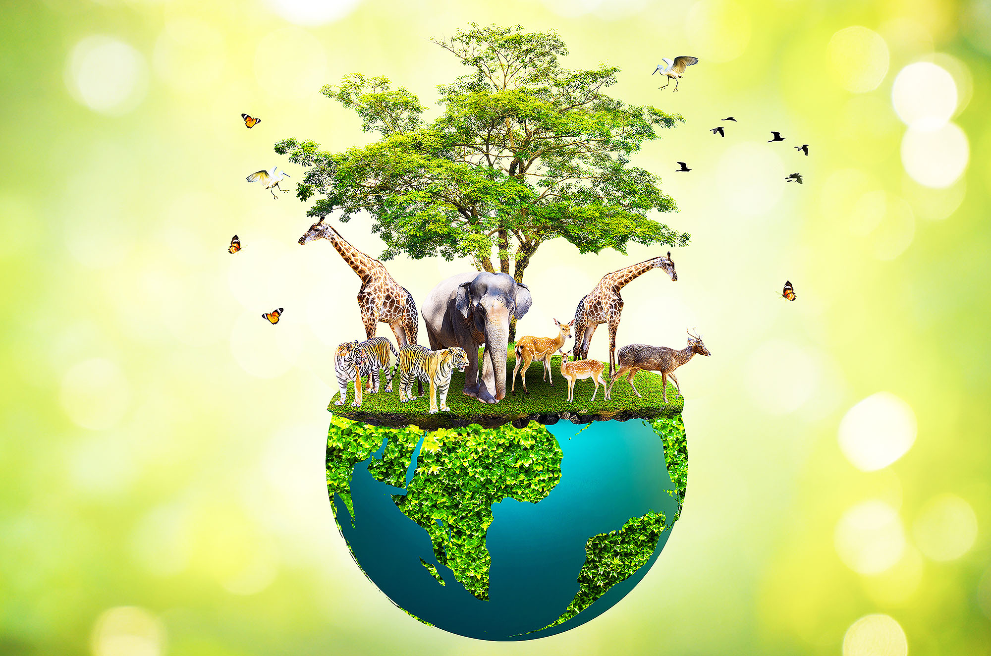 Predicting Non-Xenomorph Alien Life: New Earth Species Research Predicting Non-Xenomorph Alien Life: New Earth Species Research